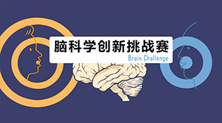 DIS還能用來(lái)玩兒腦科學(xué)？還能獲獎(jiǎng)？——朗威?DISLab力助濟(jì)南聯(lián)隊(duì)勇奪2021全國(guó)腦科學(xué)大賽科研組一等獎(jiǎng)