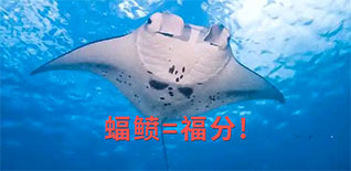 為科學而忙，是我們的福分——上海市中小學數字化實驗系統研發中心的2024